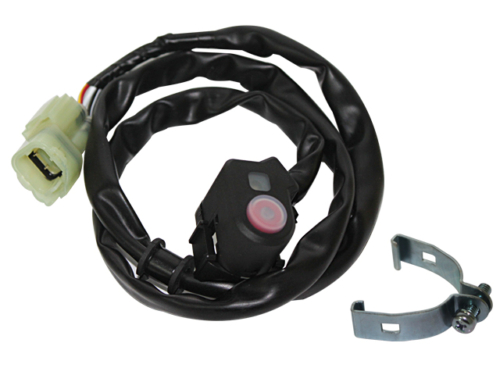 RP11201800-3.jpg
