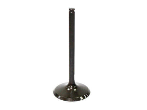 RP17305700-2.jpg