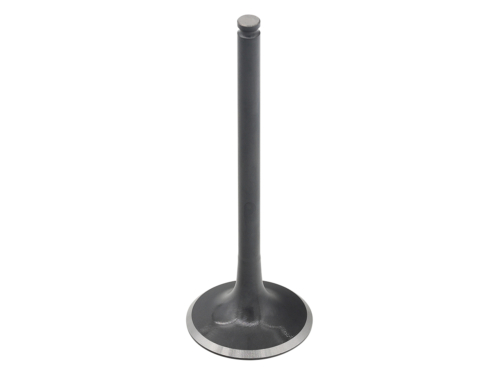 RP17309900-3.jpg