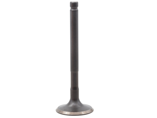 RP17314800-2.jpg