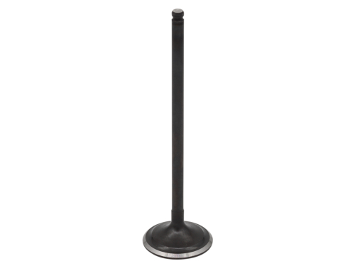 RP17315500-2.jpg