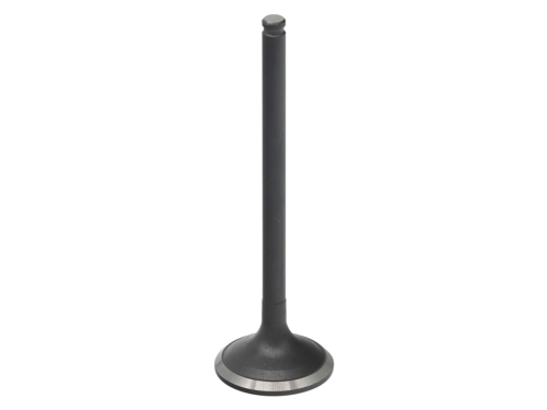 RP17317800-2.jpg