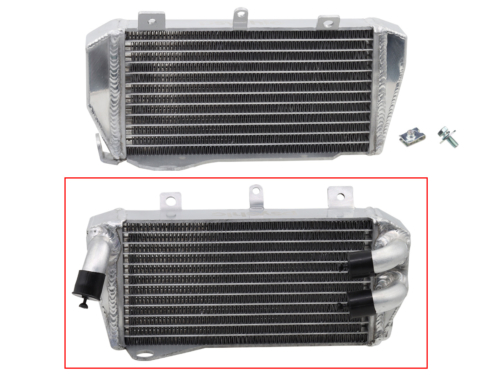 RP25708501-3.jpg