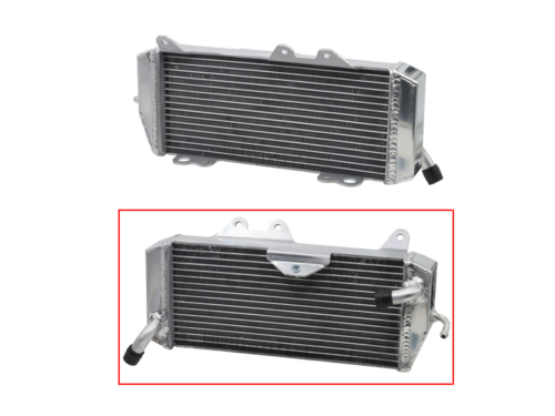 RP25708701-2.jpg